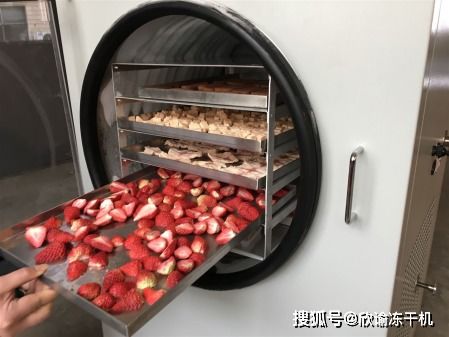 速食冻干食品有危害么,营养价值存在么