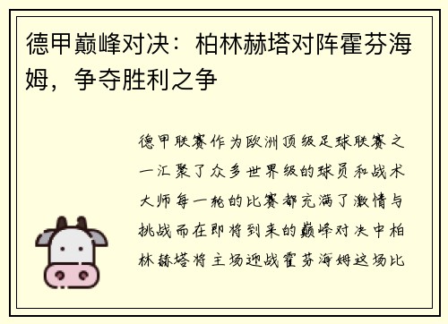 德甲巅峰对决：柏林赫塔对阵霍芬海姆，争夺胜利之争
