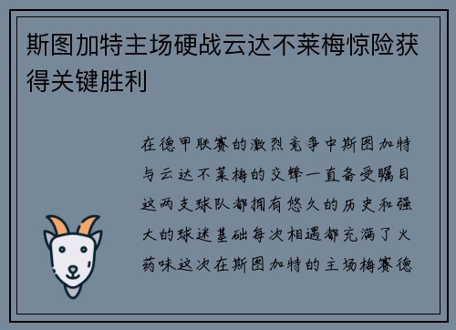 斯图加特主场硬战云达不莱梅惊险获得关键胜利