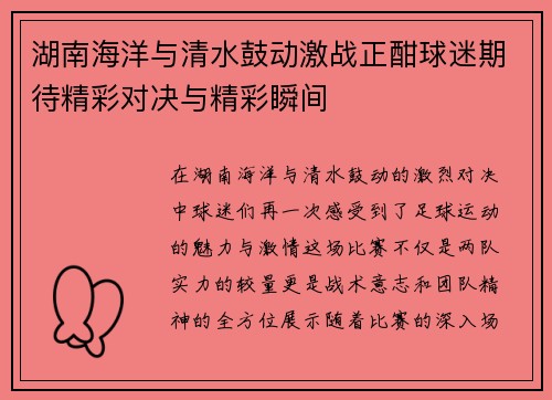 湖南海洋与清水鼓动激战正酣球迷期待精彩对决与精彩瞬间