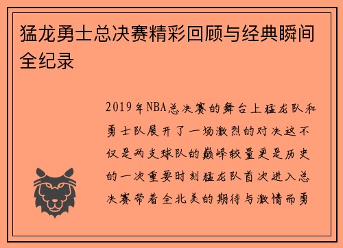 猛龙勇士总决赛精彩回顾与经典瞬间全纪录