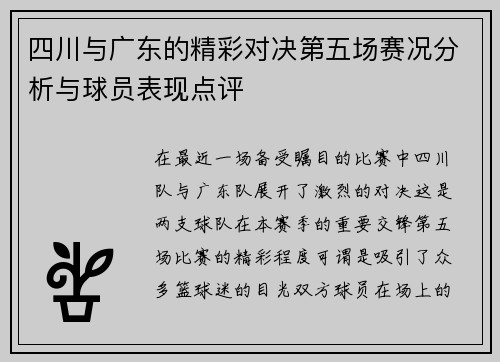 四川与广东的精彩对决第五场赛况分析与球员表现点评