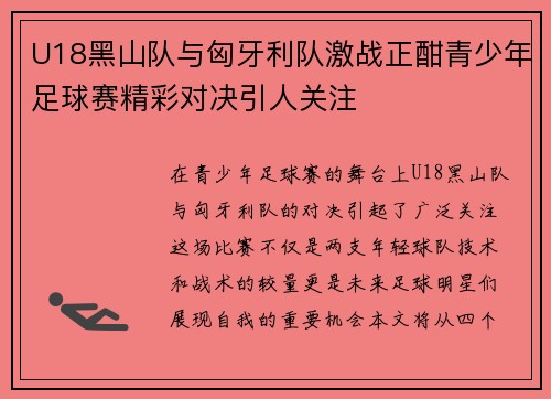 U18黑山队与匈牙利队激战正酣青少年足球赛精彩对决引人关注