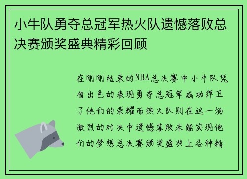 小牛队勇夺总冠军热火队遗憾落败总决赛颁奖盛典精彩回顾