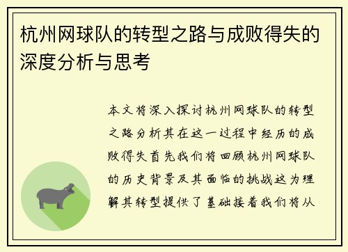 杭州网球队的转型之路与成败得失的深度分析与思考